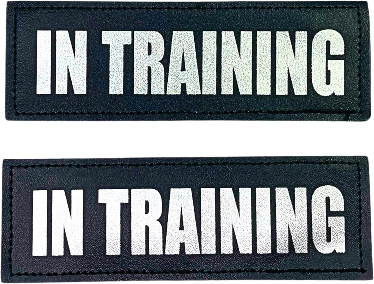 Albcorp Reflective Service Dog Patches - Easy-Change Hook Backing for Vests & Harnesses, Small Size (4.6 x 1 Inch), Set of 2