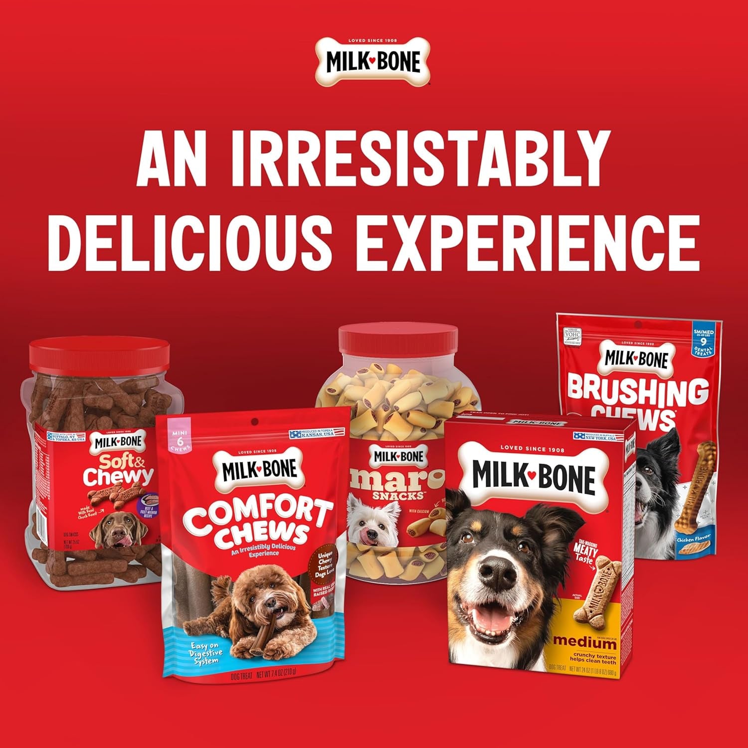 Milk-Bone Pill Pouches: Delicious Chicken Treats for Easy Medication - 125 Soft Chewy Treats in 5 Convenient Bags