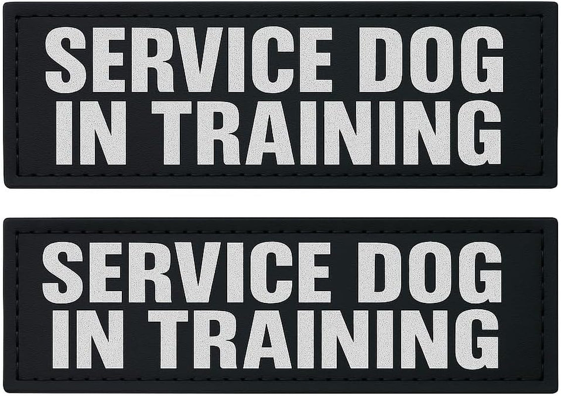 Albcorp Reflective Service Dog Patches - Easy-Change Hook Backing for Vests & Harnesses, Small Size (4.6 x 1 Inch), Set of 2
