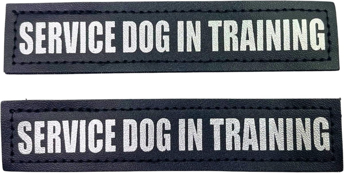 Albcorp Reflective Service Dog Patches - Easy-Change Hook Backing for Vests & Harnesses, Small Size (4.6 x 1 Inch), Set of 2