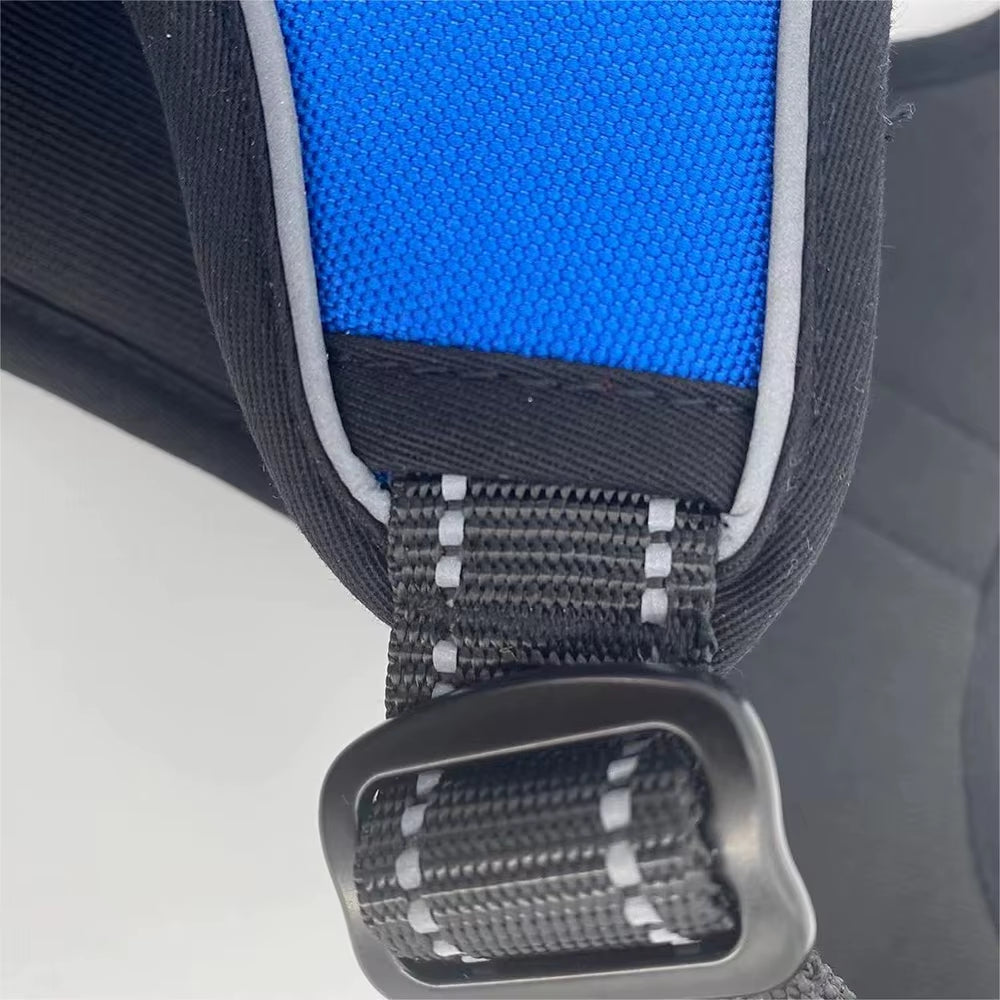 Customized High-End Plastic Dog Harness Quick Release Feature Customizable Design-Worry-Free Quality Assurance Long-Term
