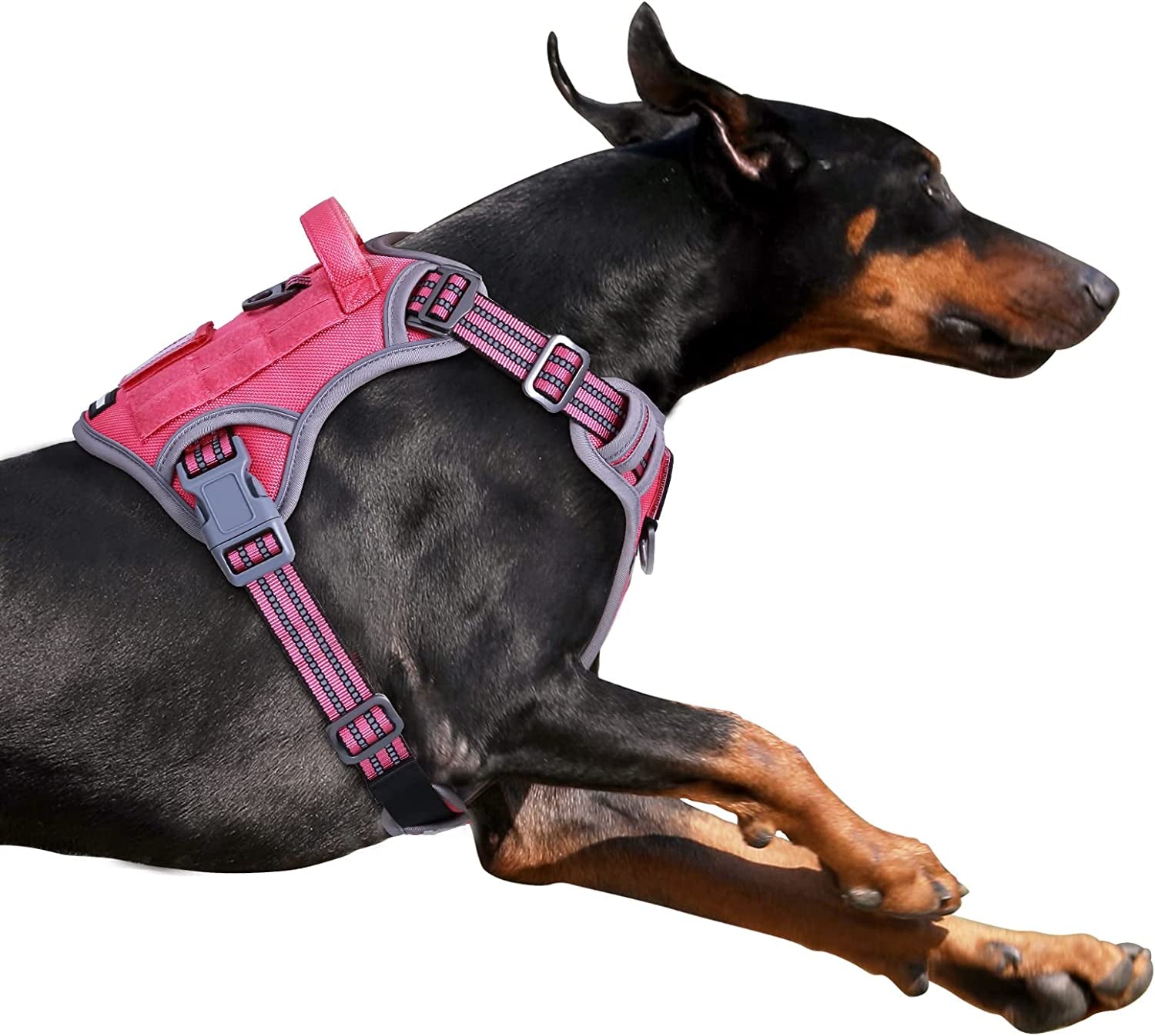 BUMBIN Tactical Dog Harness for Small Dogs No Pull, Famous TIK Tok No Pull Puppy Harness, Fit Smart Reflective Pet Walking Harness for Training, Adjustable Dog Vest Harness with Handle Purple Camo XS
