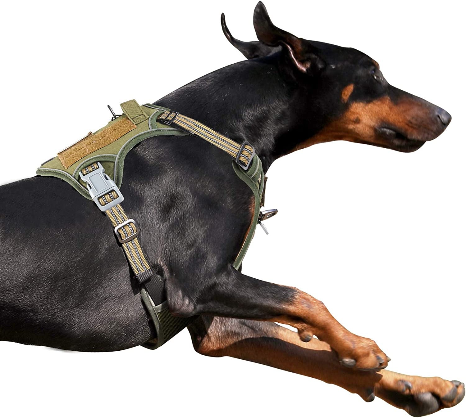 BUMBIN Tactical Dog Harness for Small Dogs No Pull, Famous TIK Tok No Pull Puppy Harness, Fit Smart Reflective Pet Walking Harness for Training, Adjustable Dog Vest Harness with Handle Purple Camo XS