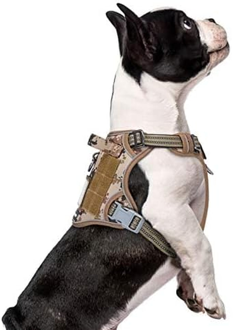 BUMBIN Tactical Dog Harness for Small Dogs No Pull, Famous TIK Tok No Pull Puppy Harness, Fit Smart Reflective Pet Walking Harness for Training, Adjustable Dog Vest Harness with Handle Purple Camo XS