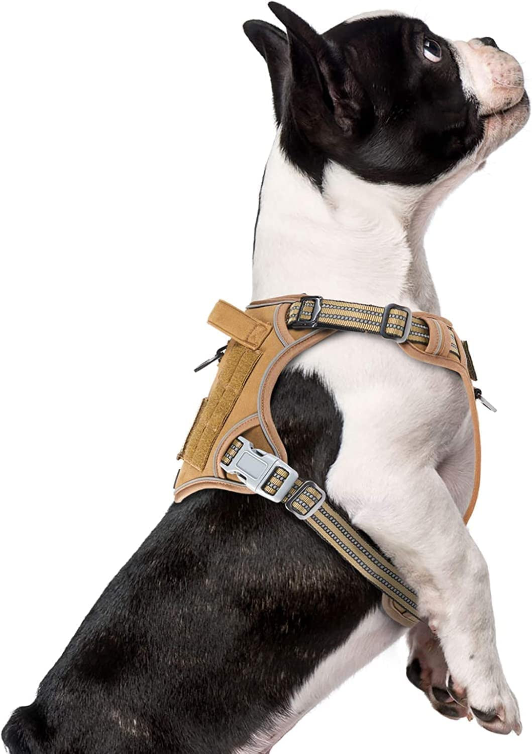 BUMBIN Tactical Dog Harness for Small Dogs No Pull, Famous TIK Tok No Pull Puppy Harness, Fit Smart Reflective Pet Walking Harness for Training, Adjustable Dog Vest Harness with Handle Purple Camo XS