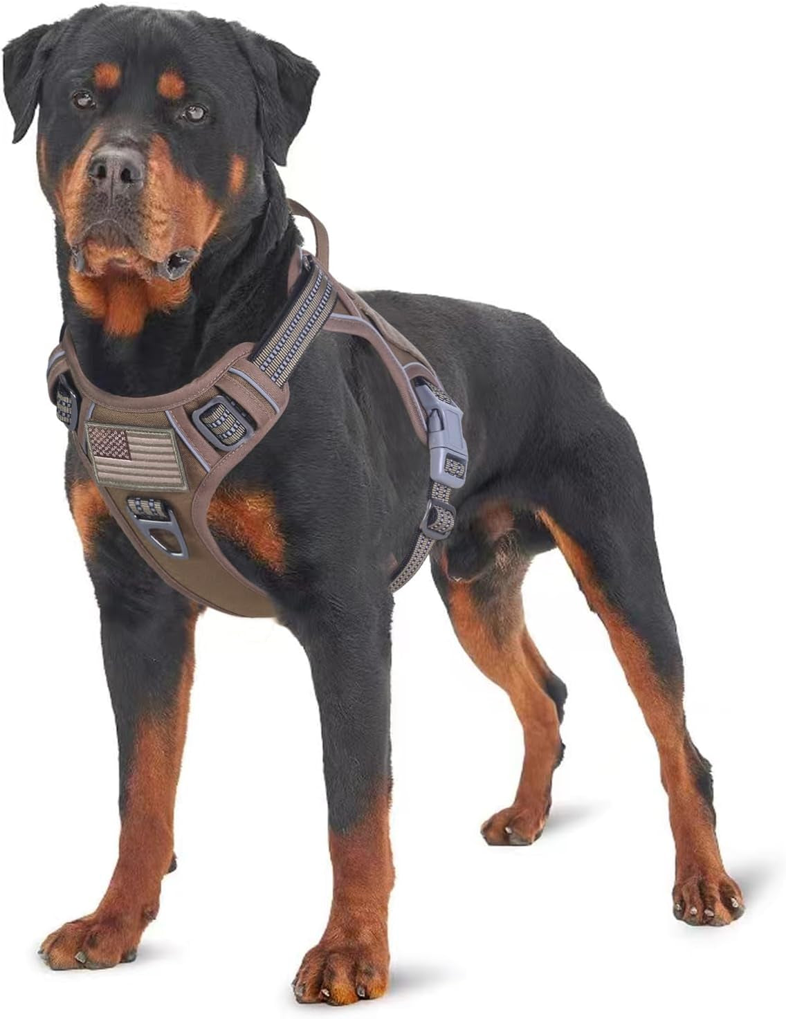 BUMBIN Tactical Dog Harness for Small Dogs No Pull, Famous TIK Tok No Pull Puppy Harness, Fit Smart Reflective Pet Walking Harness for Training, Adjustable Dog Vest Harness with Handle Purple Camo XS
