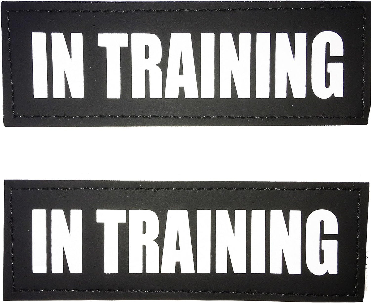 Albcorp Reflective Service Dog Patches - Easy-Change Hook Backing for Vests & Harnesses, Small Size (4.6 x 1 Inch), Set of 2