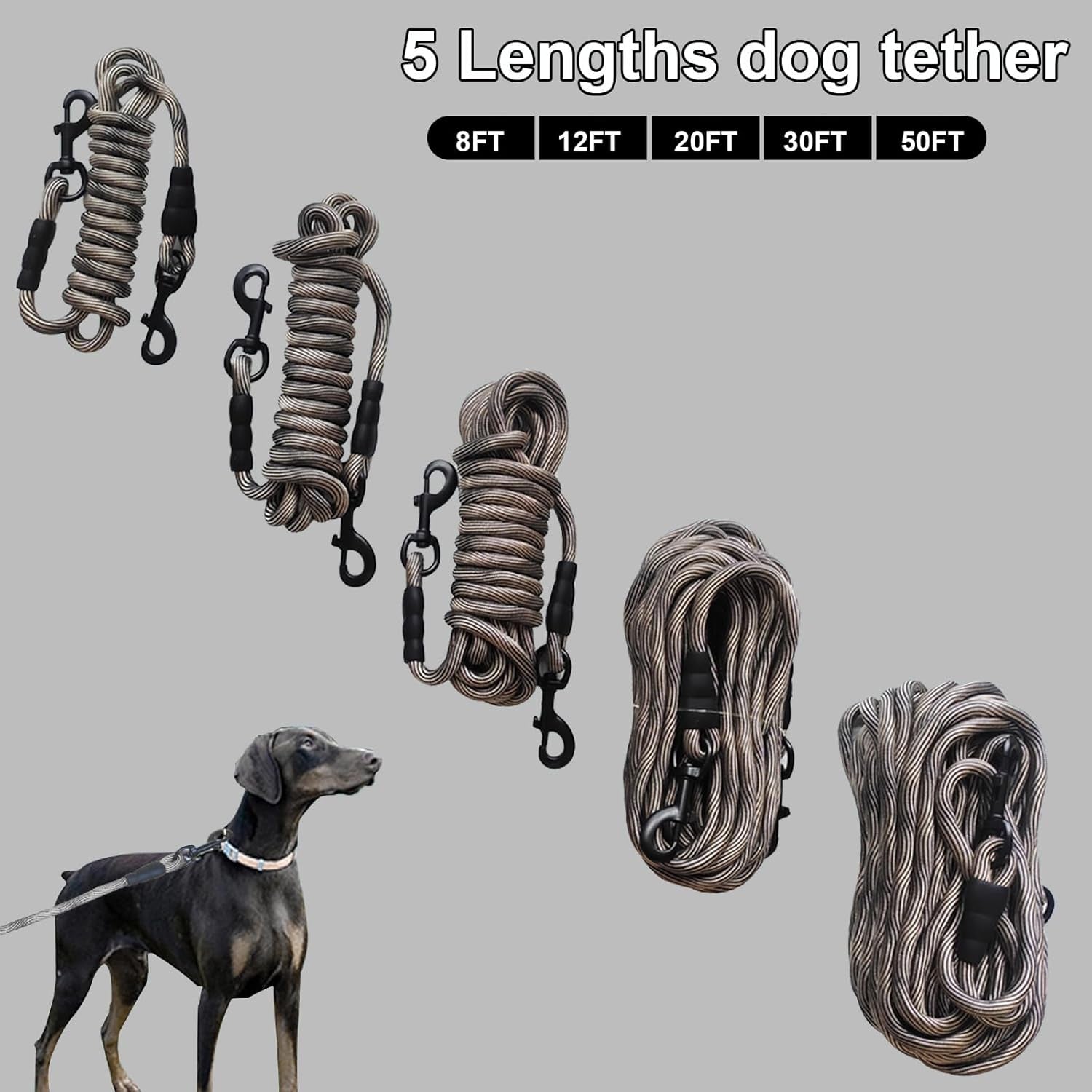 BTINESFUL Tie-Out Check Cord Long Rope Dog Tether, 8Ft 12Ft 20Ft 30Ft 50Ft Dog Lead for Yard, Large Medium Dogs Oudoor Training, Playing, Camping, or Backyard (30Ft, Beige Black)
