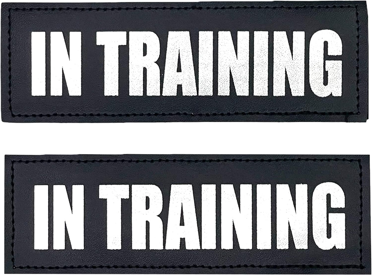 Albcorp Reflective Service Dog Patches - Easy-Change Hook Backing for Vests & Harnesses, Small Size (4.6 x 1 Inch), Set of 2