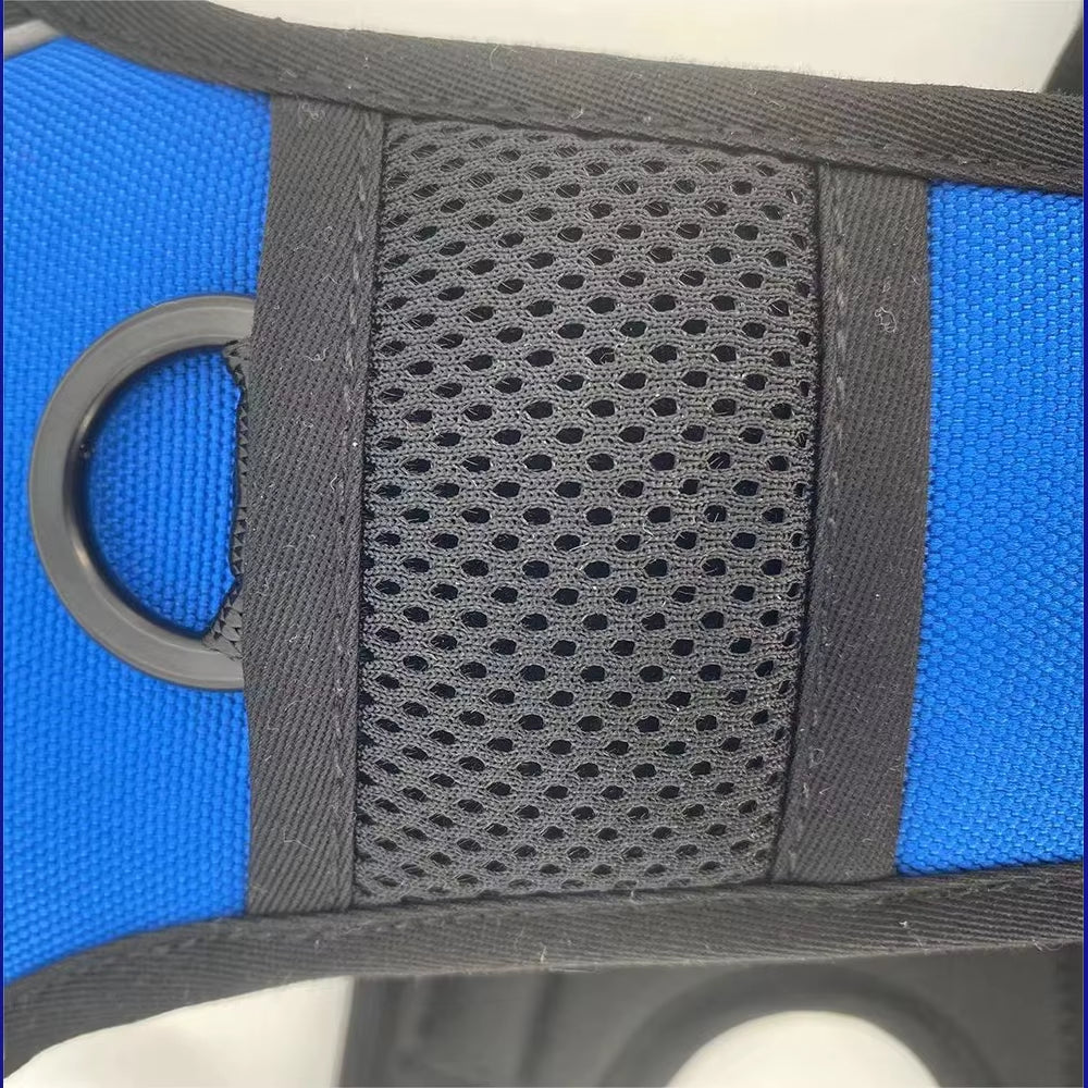 Customized High-End Plastic Dog Harness Quick Release Feature Customizable Design-Worry-Free Quality Assurance Long-Term