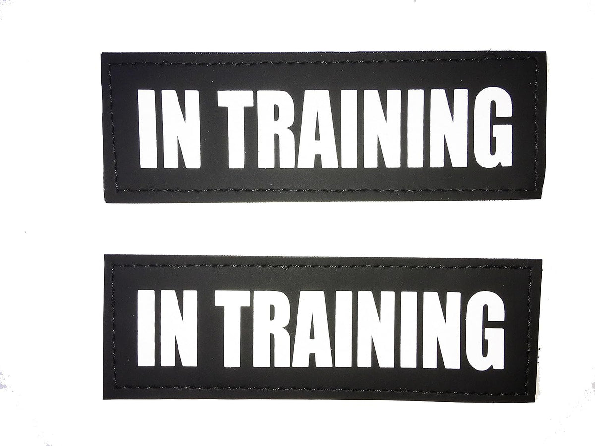 Albcorp Reflective Service Dog Patches - Easy-Change Hook Backing for Vests & Harnesses, Small Size (4.6 x 1 Inch), Set of 2