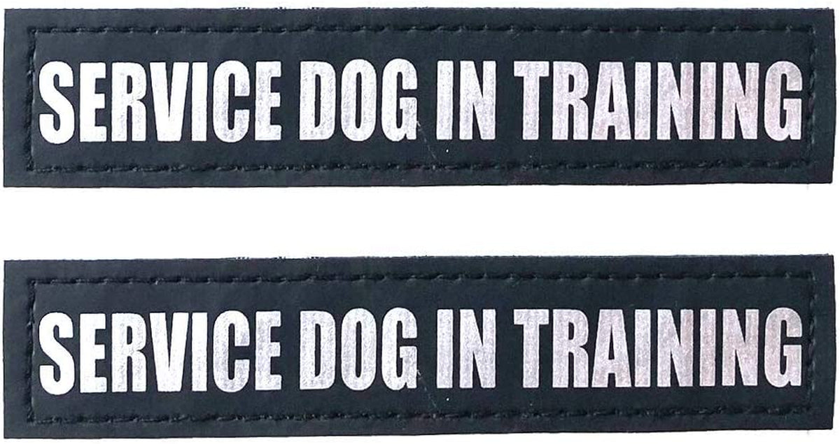 Albcorp Reflective Service Dog Patches - Easy-Change Hook Backing for Vests & Harnesses, Small Size (4.6 x 1 Inch), Set of 2