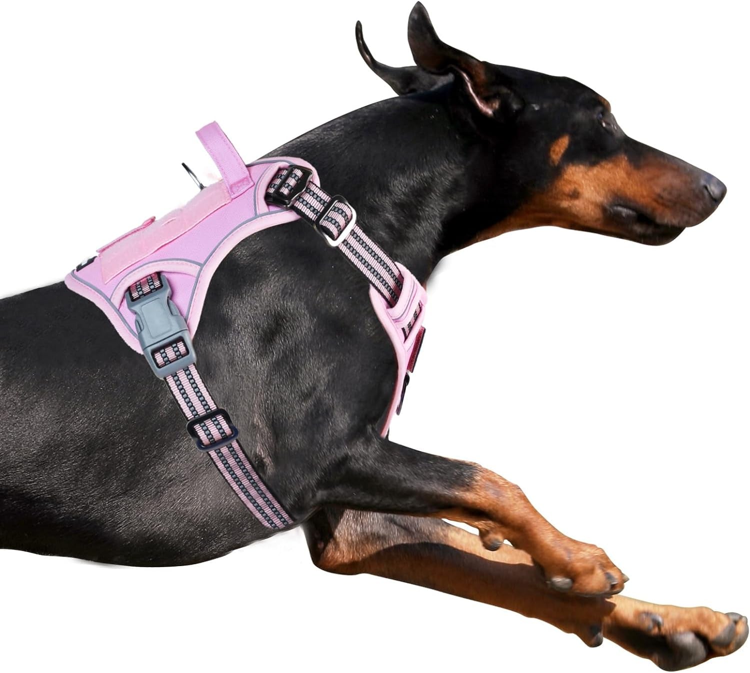BUMBIN Tactical Dog Harness for Small Dogs No Pull, Famous TIK Tok No Pull Puppy Harness, Fit Smart Reflective Pet Walking Harness for Training, Adjustable Dog Vest Harness with Handle Purple Camo XS