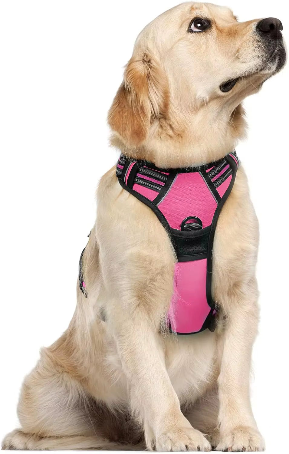 Customized High-End Plastic Dog Harness Quick Release Feature Customizable Design-Worry-Free Quality Assurance Long-Term