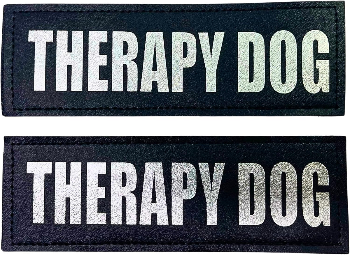 Albcorp Reflective Service Dog Patches - Easy-Change Hook Backing for Vests & Harnesses, Small Size (4.6 x 1 Inch), Set of 2