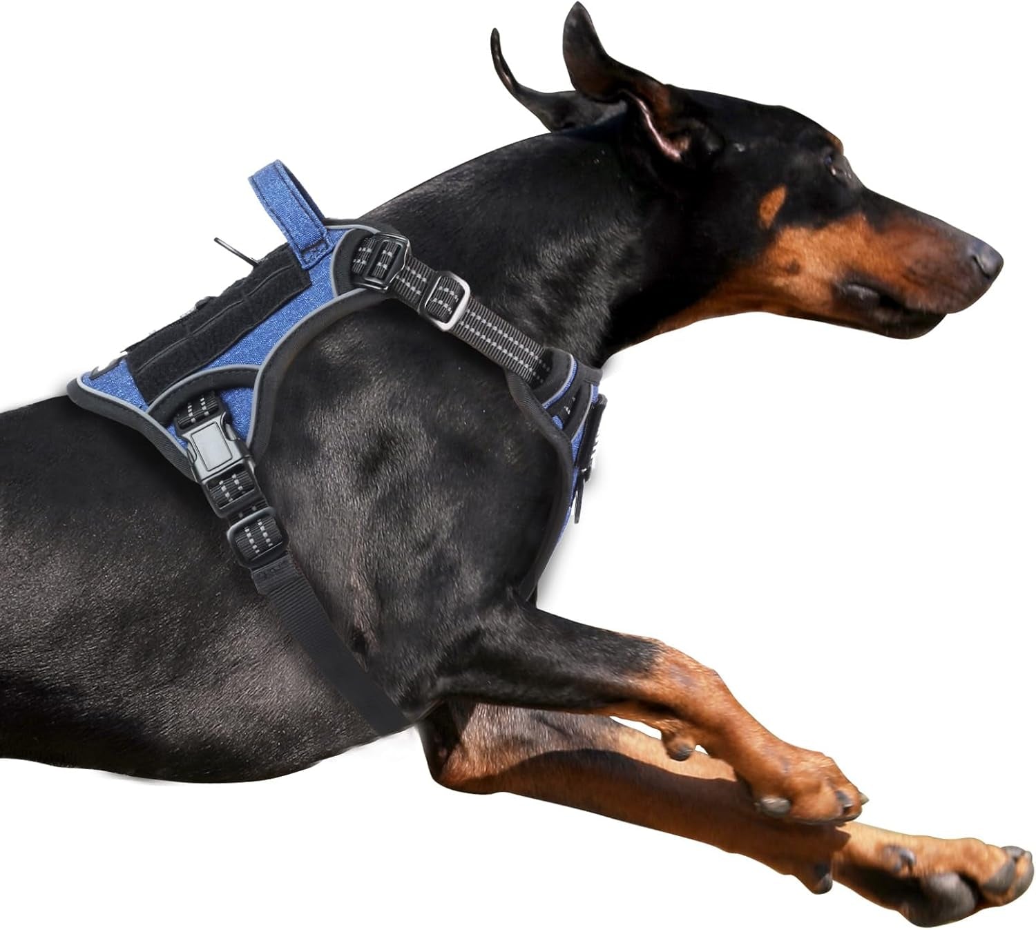 BUMBIN Tactical Dog Harness for Small Dogs No Pull, Famous TIK Tok No Pull Puppy Harness, Fit Smart Reflective Pet Walking Harness for Training, Adjustable Dog Vest Harness with Handle Purple Camo XS